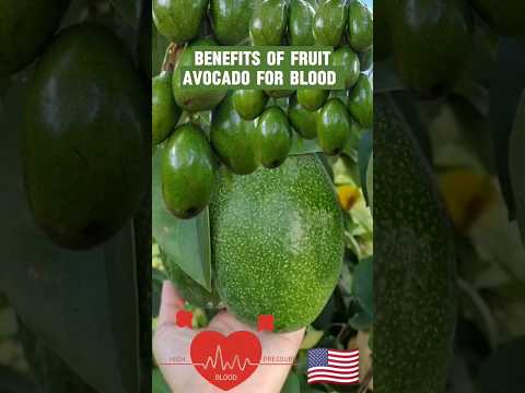 BENEFITS OF AVOCADO FOR BLOOD #SHORTS