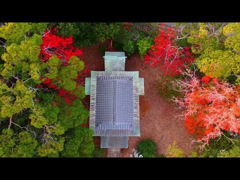 高塚神社　2024年12月