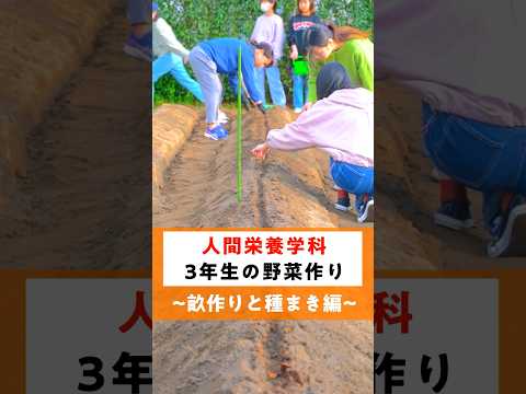 【人間栄養学科】文教農園 #001【種まき編】  #畑  #広島