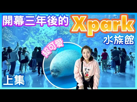 【桃園景點】開幕三年後的「Xpark 水族館」（上集）  Taoyuan Taiwan