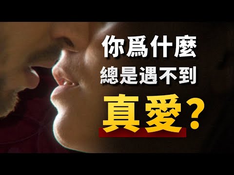 你值得擁有純粹的「真愛」嗎？硬核社會學，帶你了解當代價值觀如何異化愛情