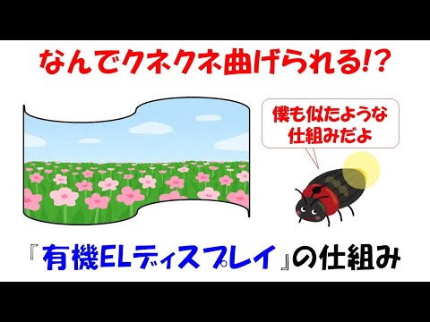 【簡潔解説】有機ELディスプレイの仕組み。なんでクネクネ曲げれるくらい薄くできるの？【電子】【正孔】