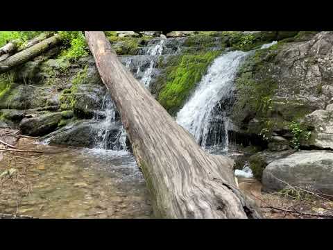 2021 4th of July - Triple Waterfalls Delaware Water Gap Our German Shepherd Hiking - ep201