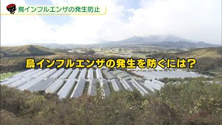 【いわて！わんこ広報室】第46回「鳥インフルエンザの発生防止 ～我が家の鳥と養鶏産業を守るために～」