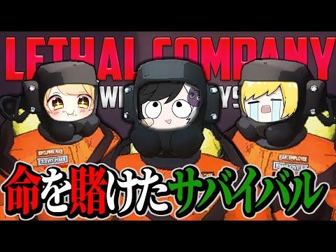 幼馴染と宇宙で廃品回収して生き残るホラゲ『Lethal Company』やりますｗｗｗ【Lethal Company】【AMPTAK】【まぜ太】