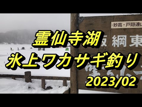 【氷上ワカサギ釣り】霊仙寺湖_202302