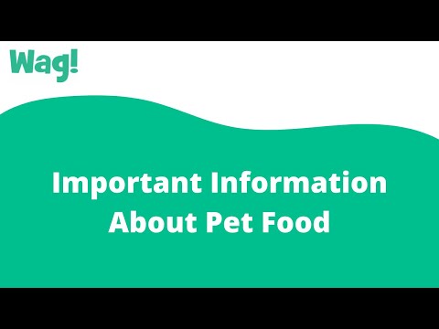 Important Information About Pet Food | Wag!