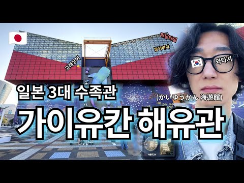 일본 3대 수족관 가이유칸🐋 | 돌고래 먹이쇼 | 고래상어·펭귄·물개 | 덴포잔 하버 빌리지 | 오사카에서 해유관 가기 --- 【여기는 오사카🇯🇵】