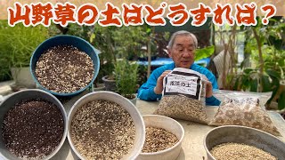 【山野草】山野草や高山植物が育つ「排水性の良い土の配合」市販の花の培養土にはひと手間加えよう！【花と緑のグリーンバレイ】