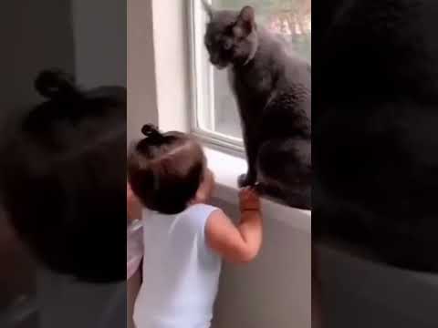 #cute #Repost @cute_babies_80 —cute babies vs cute pets 😂😂😂 funny kids video | cute baby funny video