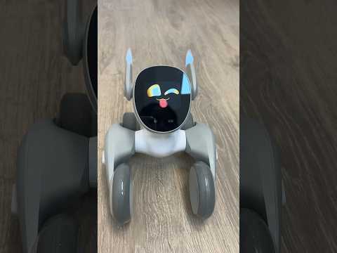 🐶🤖 Conoce a Loona. Cachorro robótico con ChatGPT | ValPat