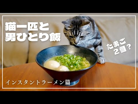 妻不在につき、愛猫に見守られながらインスタントラーメンをすする【猫一匹と男ひとり飯】