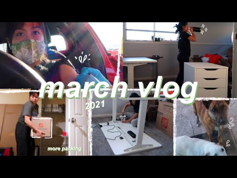 VLOG: covid-19 vaccine symptoms, moving out of the bay area, setting up my pc // march vlog