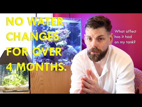 why do water changes