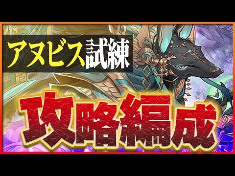 【試練ダンジョン】アヌビス試練進化用編成！正月ノルディスでずらし攻略！進化は所持数と相談【パズドラ】