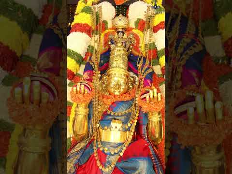 Sri Venkateswara Swamy Garuda Vahana Seva #tirupatibalaji #tirumalahills #Tirumala