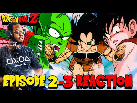 FIRST TIME WATCHING DRAGON BALL Z!! | Dragon Ball Z Episode 2-3 Reaction!! #dragonball #dragonballz