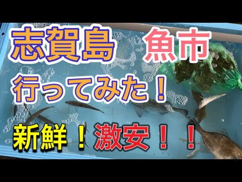 【志賀島】夕市で新鮮な魚を買ってきて食べる！！【カワハギ】【4釣目】