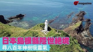 日本島根縣隱世絕境　尋八百年神樹吸靈氣