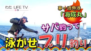 相模湾　泳がせで「ブリ釣り」これは最高の釣果の序章となる。釣り最高！