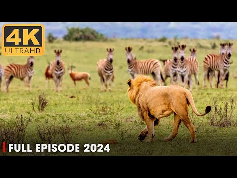 Savannah's Deadliest MEGA EPISODE | Season 2 Full Episodes | Nature Animal Documentary