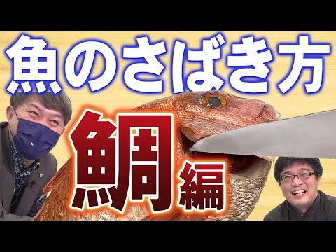 【すし県富山】魚のプロが教えるさばき方～鯛編～　コンプレッサー見聞録onYouTubeDesigned by The COMP