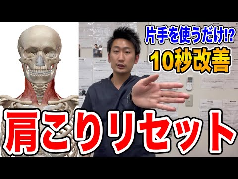 【超簡単!!】たった10秒で肩こりをセルフリリースする方法【#ハリボディTV】