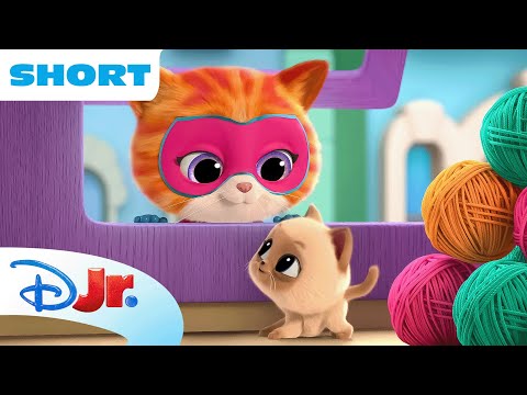 SuperKitties Su-Purr Adventures! | Ginny's Pawsome Party Prep 🎉 | @disneyjr