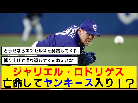 【亡命】ジャリエル･ロドリゲスがまさかの大出世！？【ヤンキース】【中日】