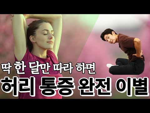 현대인에게 가장 필요한 스트레칭은 바로 이것! - 스트레칭의 정석 #04 척추 스트레칭