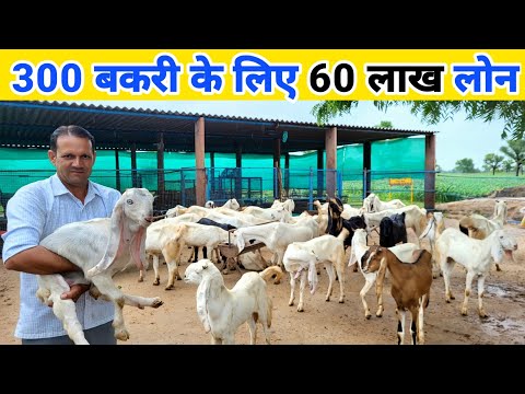 3 वर्ष से कर रहे हैं बकरी पालन फिर मिला 60 लाख लोन | Goat farming loan kaise le