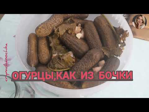 #огурцы_простого_засола #огурцы_как_из_бочки РЕЦЕПТ В ОПИСАНИИ