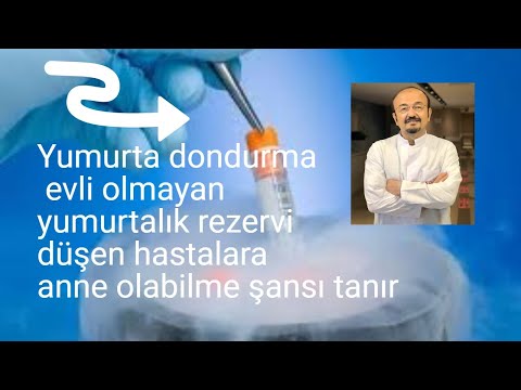 YUMURTA DONDURMA NEDİR?