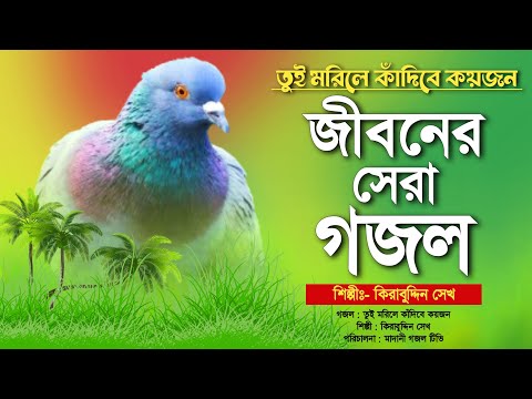 Bangla Gojol//জীবনের সেরা গজল একবার শুনলে বারবার শুনতে মন চায়//তুই মরিলে কান্দিবে কয়জন | Kirabuddin