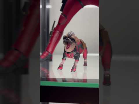 DOGPOOL | MARY PUPPINS #shorts #hottoys #deadpoolandwolverine #deadpool #wolverine #mcu #marvel