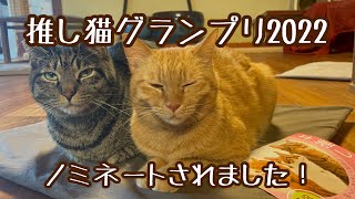 推し猫グランプリ2022