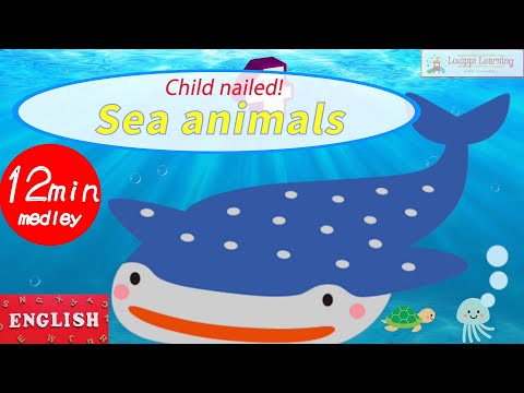 [English] Sea Creatures Quiz What kind of sea animals? 2 Educational video for baby children toddler