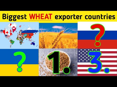 Top wheat exporter countries in the world| दुनियां में सबसे ज्यादा गेहूं निर्यात करने वाले देश #fact