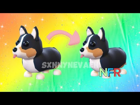 🌈•MAKING A NEON ROYAL CORGI!•🤩