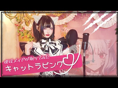 キャットラビング／歌ってみた 【現役メイド あらく】