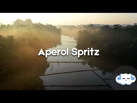 The Kid LAROI - APEROL SPRITZ (Clean - Lyrics)