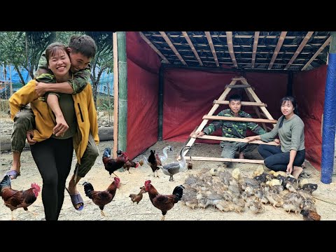 Build a chicken and duck farm to expand the farm scale | Linh's Life