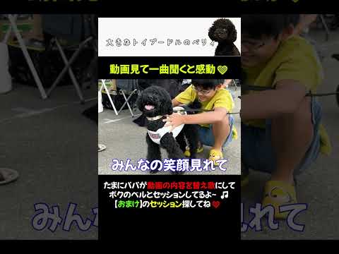 犬とセッション🎵デイドリームビリーバー【替え歌】