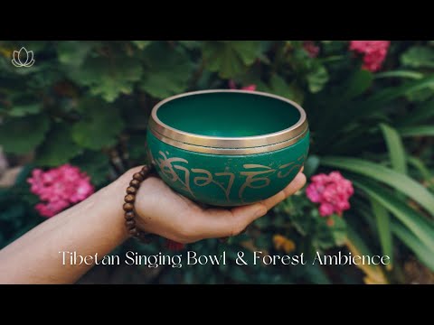 ♫ 乾淨無廣告 ♫ 冥想西藏缽音和大自然音律  & 心中平靜 Tibetan Healing Sounds & Nature Sounds