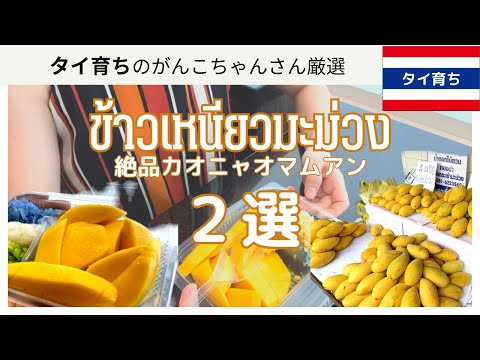 ThaiSub【タイの絶品スイーツ食べ比べ】マンゴースティッキーライスのお店2選|カオニャオマムアンの名店