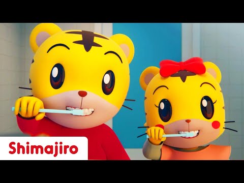 Brush your teeth! | Learn habits & Sing with Shimajiro | Kids Songs & Nursery Rhymes