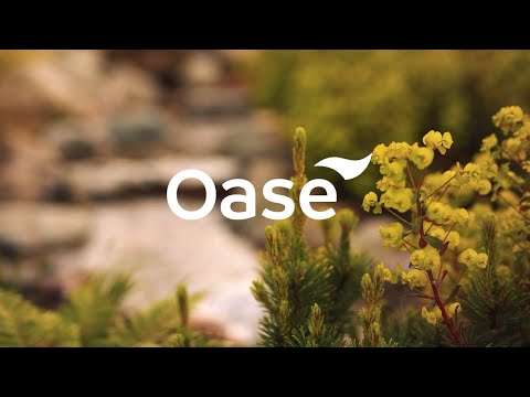 Tranquil Escapes: Soothing Water Gardens, Streams, and Features | Powered by OASE