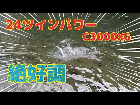 本流アメゴ(アマゴ)   24'ツインパワーC3000XG  アマゴの魂入って覚醒した！