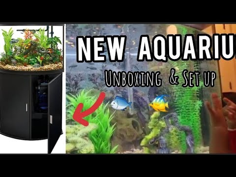 Bow Front Aquarium & Stand | UNBOXING & ASSEMBLY| Newbie Aquarium Keeper | 36 Gallon Fish Tank