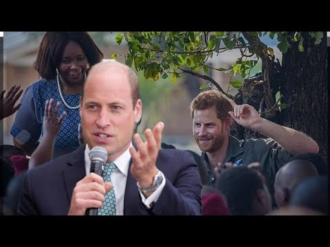 "Prince William's ‘Statesman’ Status: A Misplaced Label?"